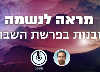 מראה לנשמה – תובנות בפרשת השבוע