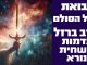 נבואת בעל הסולם – חרב ברזל