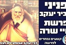 אביר יעקב – פיתוחי חותם: פרשת חיי שרה