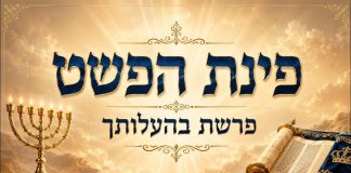 פרשת בהעלותך