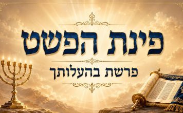 פרשת בהעלותך