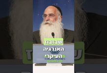 בשביל לשמר חיים צריך לבזבז פחות אנרגיה – איך עושים את זה?