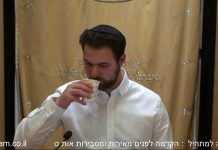 הקדמה לפנים מאירות – אות ט' | תורת החסידות