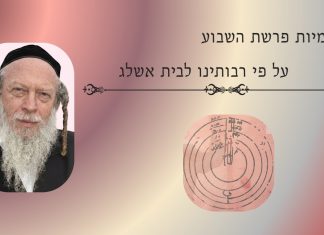 4. פרשת חוקת – סודות הפרה האדומה | הרב גוטליב
