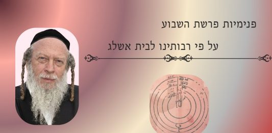 4. פרשת חוקת – סודות הפרה האדומה | הרב גוטליב