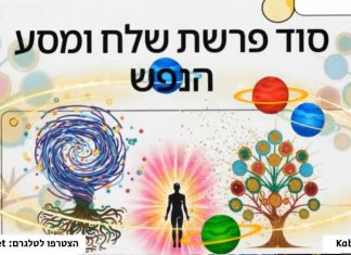 בינה מלכותית – פרשת שלח לך #קבלה #חסידות #חכמתהקבלה