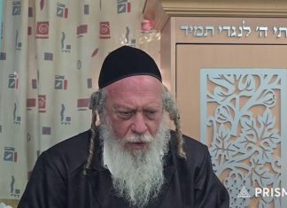 הקדמה לתלמוד עשר הספירות | הרב גוטליב