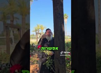תפילות