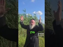 טהרה וטומאה