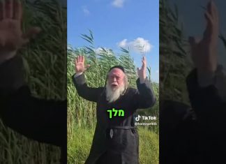 טהרה וטומאה