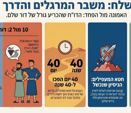 פרשת שלח לך