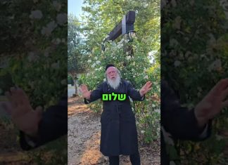 סגולה