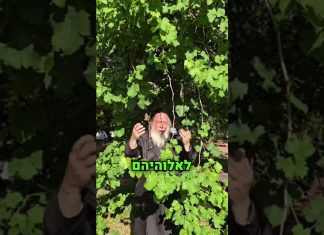 קדוש
