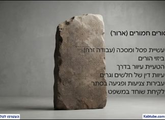 פרשת כי תבוא