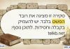 פרשת כי תצא