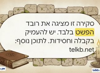 פרשת כי תצא