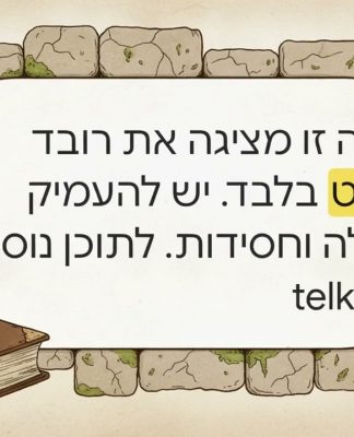 פרשת כי תצא